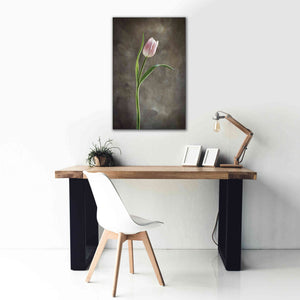 'Spring Tulips I' by Debra Van Swearingen, Canvas Wall Art,26 x 40