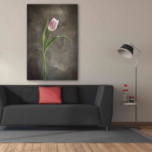 'Spring Tulips I' by Debra Van Swearingen, Canvas Wall Art,40 x 60