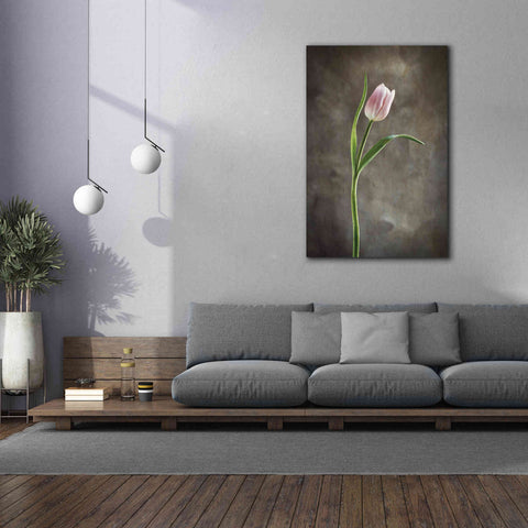 Image of 'Spring Tulips I' by Debra Van Swearingen, Canvas Wall Art,40 x 60