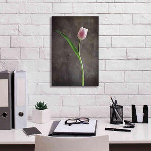 'Spring Tulips II' by Debra Van Swearingen, Canvas Wall Art,12 x 18