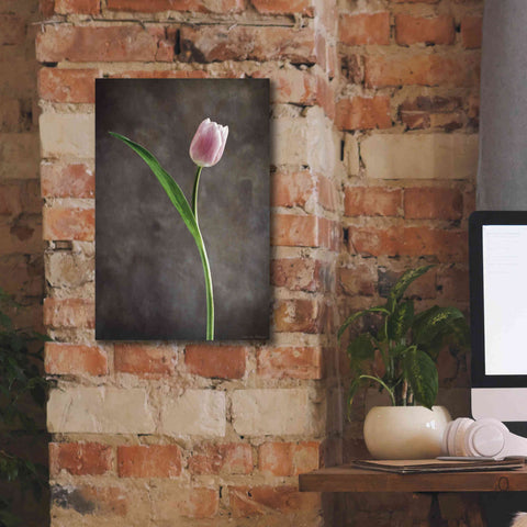 Image of 'Spring Tulips II' by Debra Van Swearingen, Canvas Wall Art,12 x 18