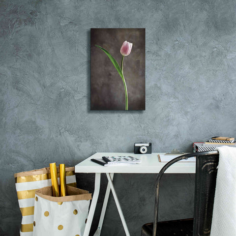Image of 'Spring Tulips II' by Debra Van Swearingen, Canvas Wall Art,12 x 18