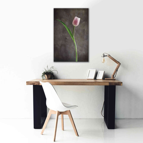 Image of 'Spring Tulips II' by Debra Van Swearingen, Canvas Wall Art,26 x 40