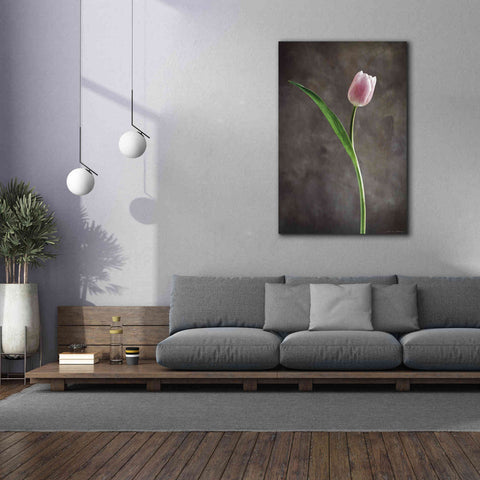 Image of 'Spring Tulips II' by Debra Van Swearingen, Canvas Wall Art,40 x 60