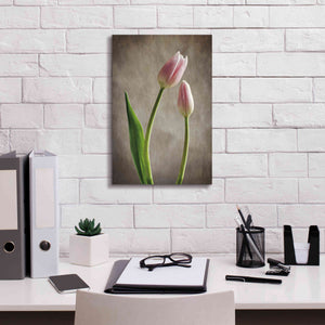 'Spring Tulips III' by Debra Van Swearingen, Canvas Wall Art,12 x 18