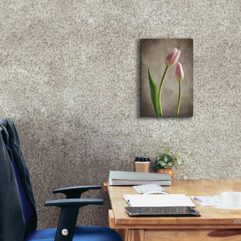 Image of 'Spring Tulips III' by Debra Van Swearingen, Canvas Wall Art,12 x 18