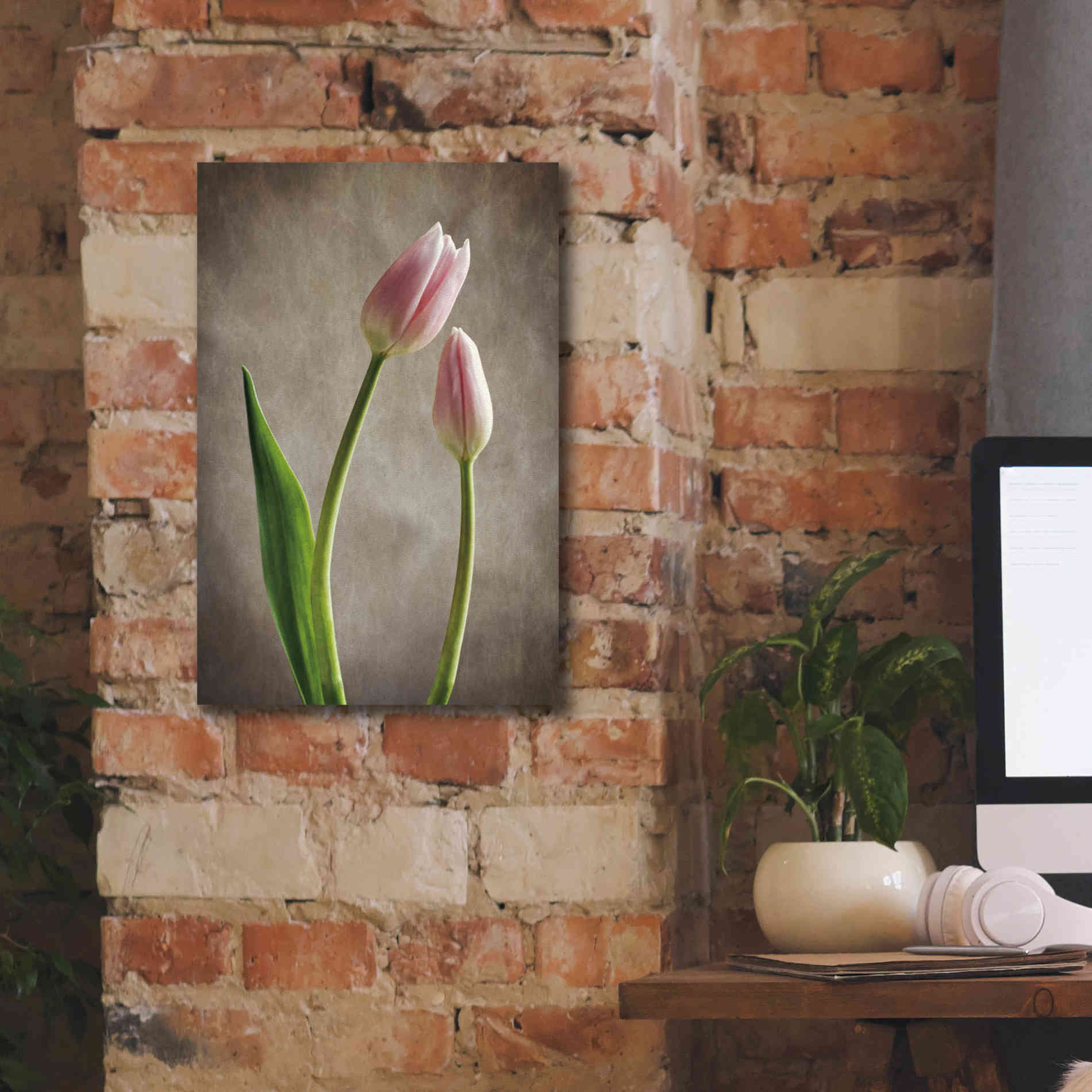 'Spring Tulips III' by Debra Van Swearingen, Canvas Wall Art,12 x 18