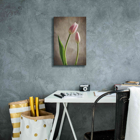 Image of 'Spring Tulips III' by Debra Van Swearingen, Canvas Wall Art,12 x 18