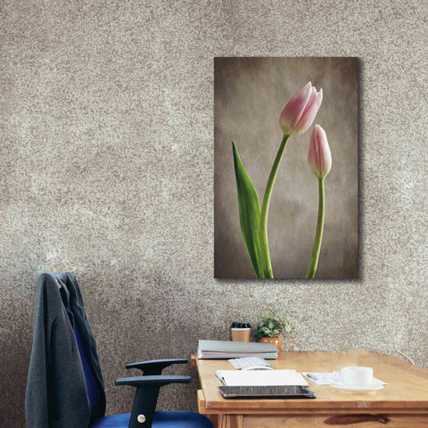 Image of 'Spring Tulips III' by Debra Van Swearingen, Canvas Wall Art,26 x 40