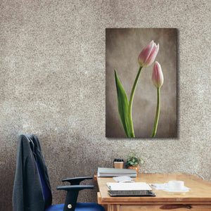 'Spring Tulips III' by Debra Van Swearingen, Canvas Wall Art,26 x 40