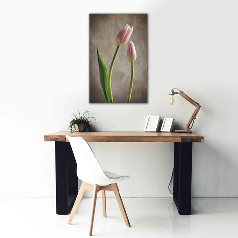 Image of 'Spring Tulips III' by Debra Van Swearingen, Canvas Wall Art,26 x 40