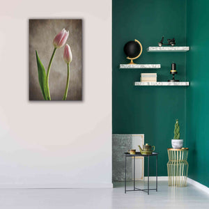 'Spring Tulips III' by Debra Van Swearingen, Canvas Wall Art,26 x 40