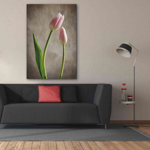 Image of 'Spring Tulips III' by Debra Van Swearingen, Canvas Wall Art,40 x 60