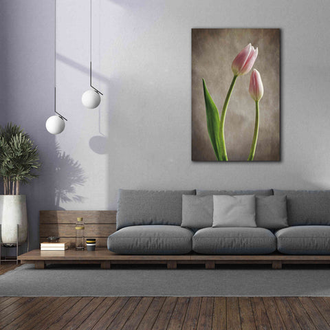Image of 'Spring Tulips III' by Debra Van Swearingen, Canvas Wall Art,40 x 60