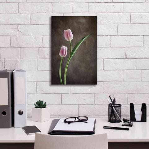 Image of 'Spring Tulips IV' by Debra Van Swearingen, Canvas Wall Art,12 x 18