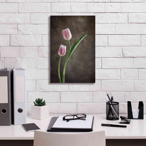 'Spring Tulips IV' by Debra Van Swearingen, Canvas Wall Art,12 x 18