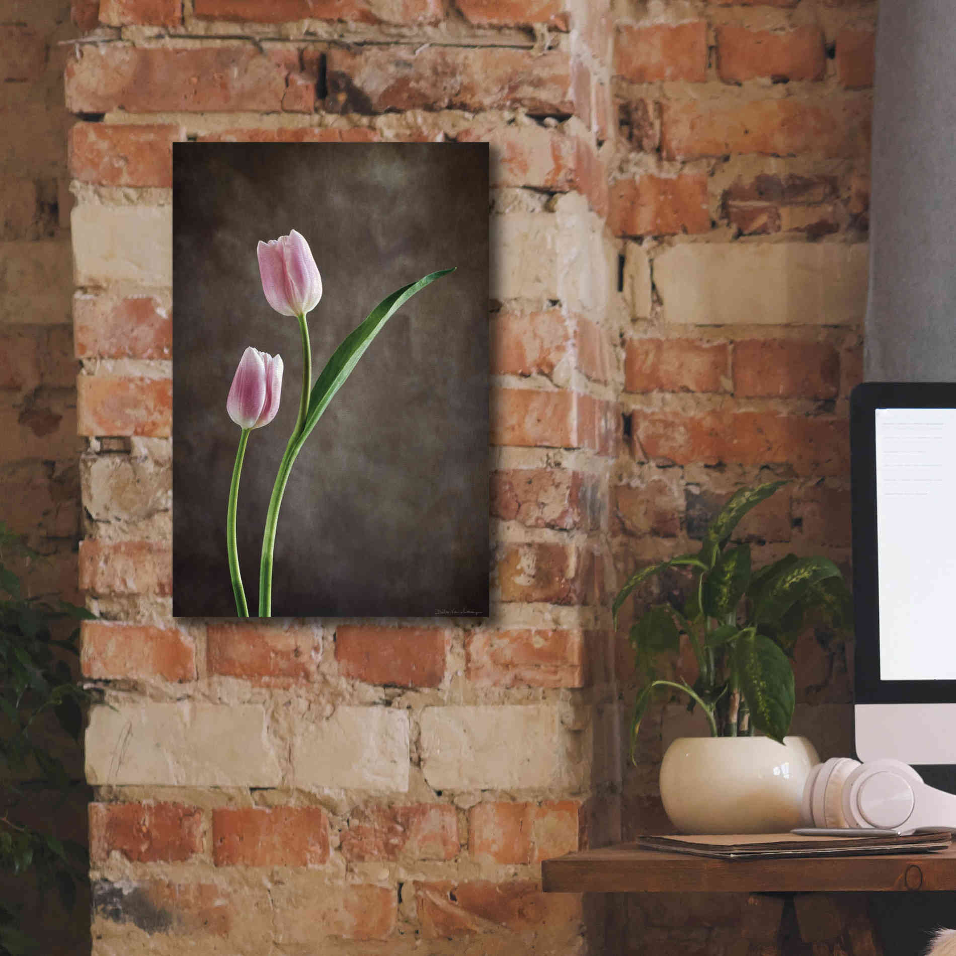 'Spring Tulips IV' by Debra Van Swearingen, Canvas Wall Art,12 x 18