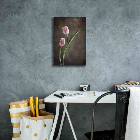 Image of 'Spring Tulips IV' by Debra Van Swearingen, Canvas Wall Art,12 x 18