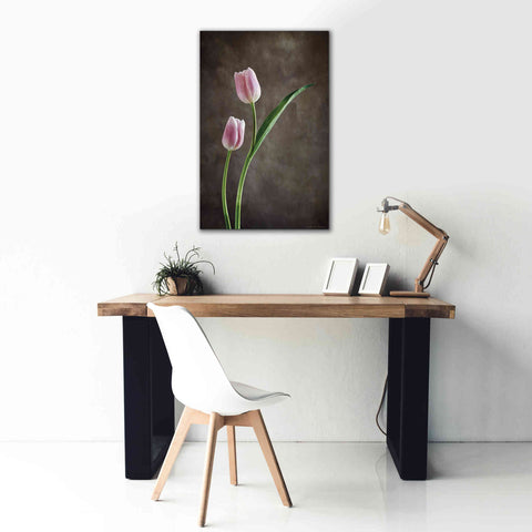Image of 'Spring Tulips IV' by Debra Van Swearingen, Canvas Wall Art,26 x 40