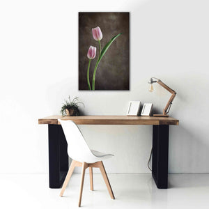 'Spring Tulips IV' by Debra Van Swearingen, Canvas Wall Art,26 x 40