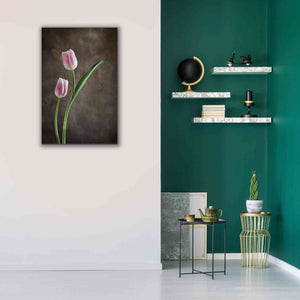 'Spring Tulips IV' by Debra Van Swearingen, Canvas Wall Art,26 x 40