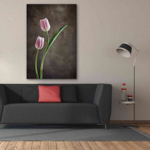 'Spring Tulips IV' by Debra Van Swearingen, Canvas Wall Art,40 x 60