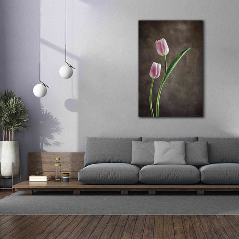 Image of 'Spring Tulips IV' by Debra Van Swearingen, Canvas Wall Art,40 x 60