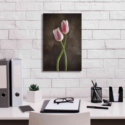 Image of 'Spring Tulips V' by Debra Van Swearingen, Canvas Wall Art,12 x 18