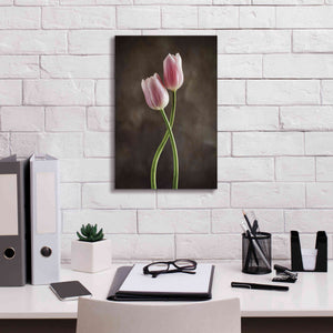 'Spring Tulips V' by Debra Van Swearingen, Canvas Wall Art,12 x 18