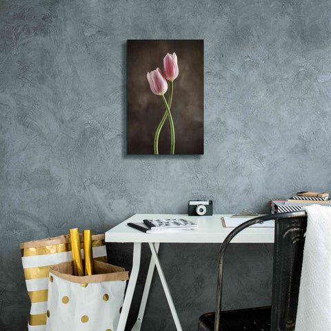 Image of 'Spring Tulips V' by Debra Van Swearingen, Canvas Wall Art,12 x 18