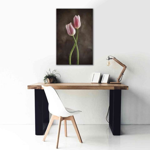 Image of 'Spring Tulips V' by Debra Van Swearingen, Canvas Wall Art,26 x 40