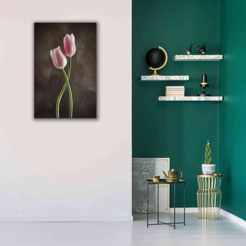 Image of 'Spring Tulips V' by Debra Van Swearingen, Canvas Wall Art,26 x 40