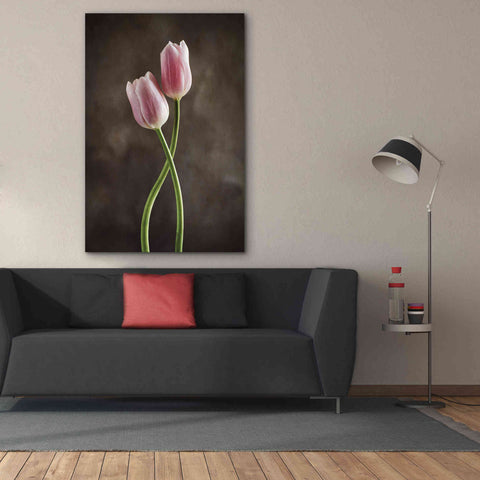 Image of 'Spring Tulips V' by Debra Van Swearingen, Canvas Wall Art,40 x 60