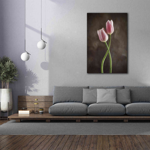 Image of 'Spring Tulips V' by Debra Van Swearingen, Canvas Wall Art,40 x 60