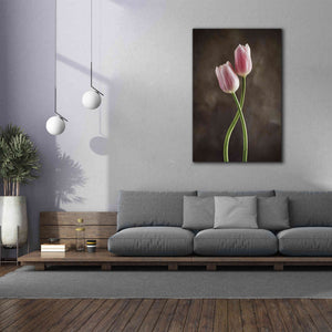 'Spring Tulips V' by Debra Van Swearingen, Canvas Wall Art,40 x 60