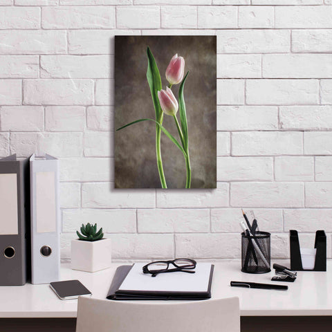 Image of 'Spring Tulips VI' by Debra Van Swearingen, Canvas Wall Art,12 x 18