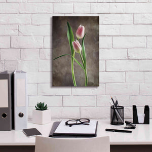 'Spring Tulips VI' by Debra Van Swearingen, Canvas Wall Art,12 x 18