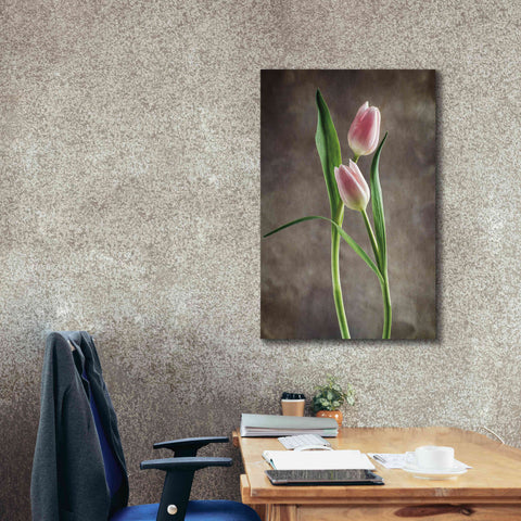 Image of 'Spring Tulips VI' by Debra Van Swearingen, Canvas Wall Art,26 x 40