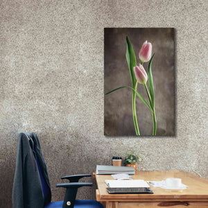 'Spring Tulips VI' by Debra Van Swearingen, Canvas Wall Art,26 x 40