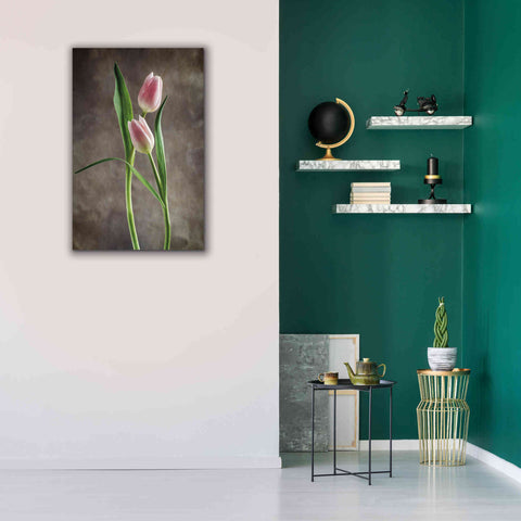 Image of 'Spring Tulips VI' by Debra Van Swearingen, Canvas Wall Art,26 x 40