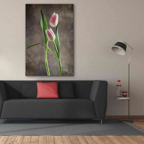 Image of 'Spring Tulips VI' by Debra Van Swearingen, Canvas Wall Art,40 x 60