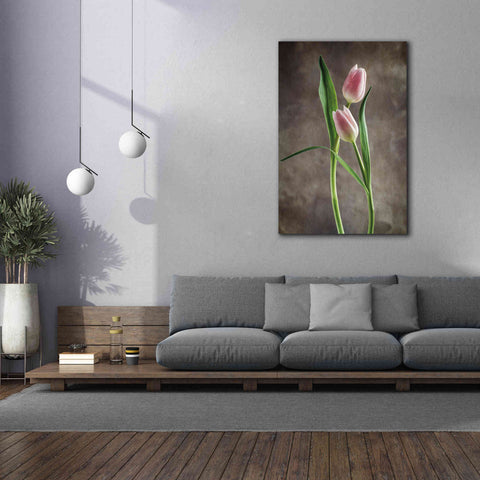Image of 'Spring Tulips VI' by Debra Van Swearingen, Canvas Wall Art,40 x 60