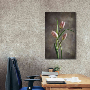 'Spring Tulips VII' by Debra Van Swearingen, Canvas Wall Art,26 x 40