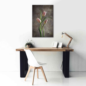 'Spring Tulips VII' by Debra Van Swearingen, Canvas Wall Art,26 x 40
