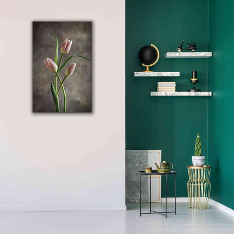 Image of 'Spring Tulips VII' by Debra Van Swearingen, Canvas Wall Art,26 x 40