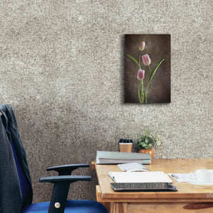 'Spring Tulips VIII' by Debra Van Swearingen, Canvas Wall Art,12 x 18