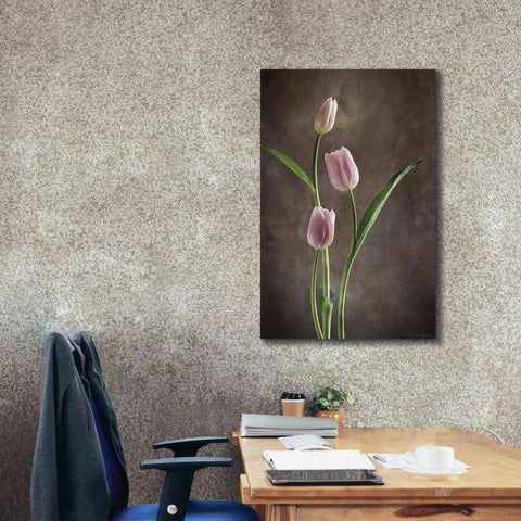Image of 'Spring Tulips VIII' by Debra Van Swearingen, Canvas Wall Art,26 x 40