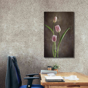 'Spring Tulips VIII' by Debra Van Swearingen, Canvas Wall Art,26 x 40