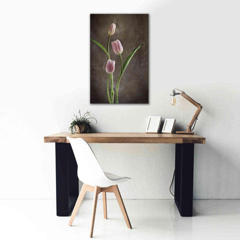Image of 'Spring Tulips VIII' by Debra Van Swearingen, Canvas Wall Art,26 x 40
