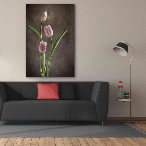 Image of 'Spring Tulips VIII' by Debra Van Swearingen, Canvas Wall Art,40 x 60
